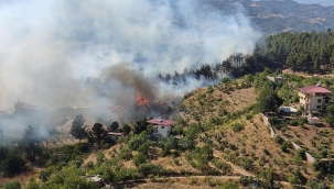 Kahramanmaraş'ın iki ilçesinde orman yangını