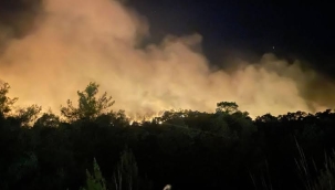 Kemer'deki orman yangını 3. gününde sürüyor
