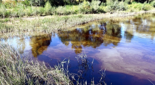 Kızılırmak'ta kirletici bir akıntı görüldü
