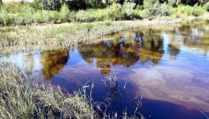 Kızılırmak'ta kirletici bir akıntı görüldü