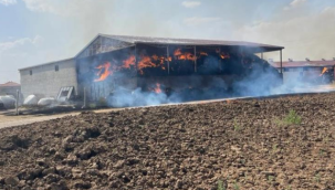 Konya'da çiftlik yangını: 33 büyükbaş hayvan öldü