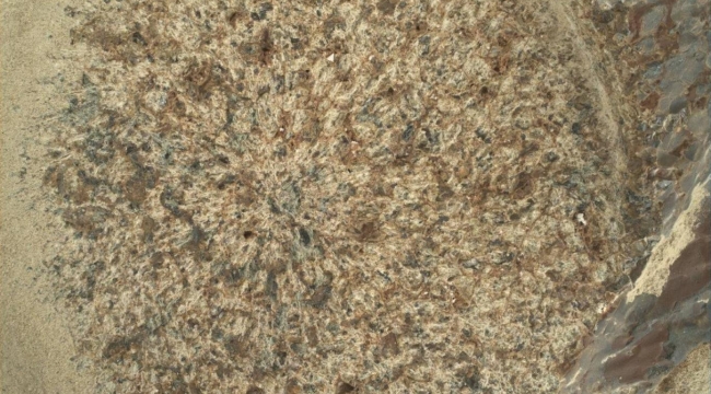 Mars'ta çeşitli türlerde organik maddeler bulundu