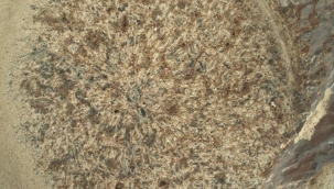 Mars'ta çeşitli türlerde organik maddeler bulundu