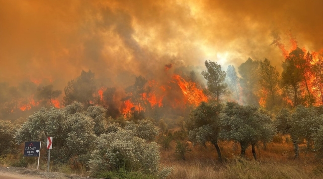 Muğla'nın Milas ilçesinde orman yangını