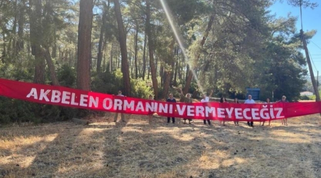 Muğla Valiliği: ''Akbelen'de çalışmalar sona erdi''