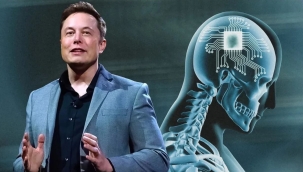 Musk, hayvanlara eziyet soruşturmasında aklandı