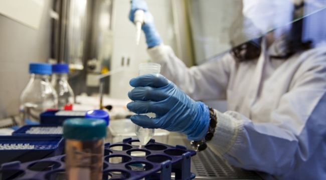 Petri kabında "minyatür kalp" üretildi