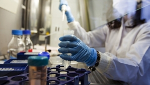 Petri kabında "minyatür kalp" üretildi