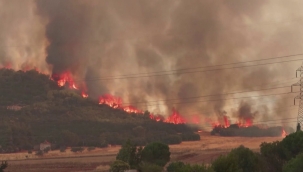 Rodos'taki orman yangını 5 gündür devam ediyor