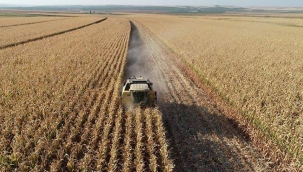 TÜİK'in iddiası: "Tarım -GFE Mayıs'ta %33 arttı"