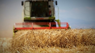 TMO'nun randevu sorunu çiftçileri mağdur ediyor