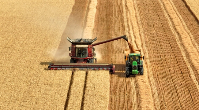 TÜİK'in iddiası: "Tarım-ÜFE Haziran'da %4,04 arttı"