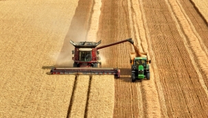 TÜİK'in iddiası: "Tarım-ÜFE Haziran'da %4,04 arttı"