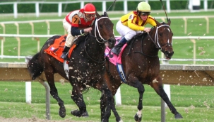 Türkiye şahlanıyor: Memur maaşları 22 bin ₺ oldu