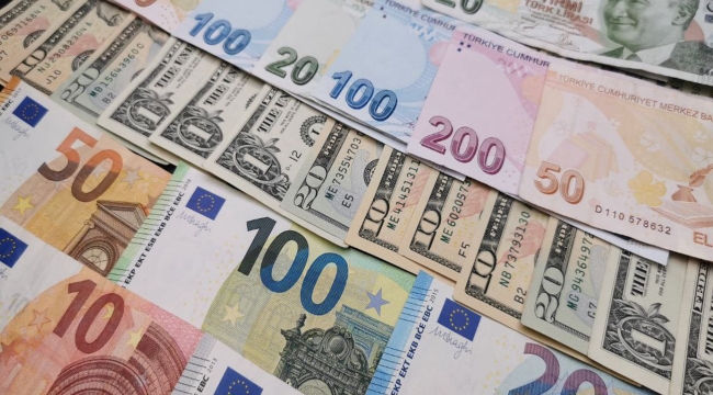 Yurt içi döviz mevduatı 8,4 milyar dolar azaldı