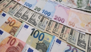 Yurt içi döviz mevduatı 8,4 milyar dolar azaldı