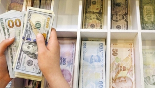 Yurt içinde döviz mevduatı 2,5 milyar $ arttı 