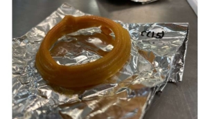 3D yazıcı ile bitki bazlı kalamar üretildi