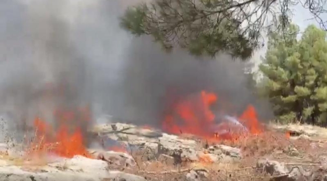 Adıyaman'da orman yangını
