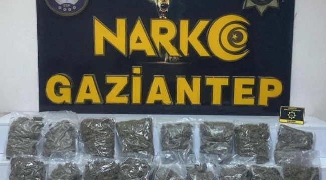 Antep'te TIR'da 41 kilo skunk ele geçirildi