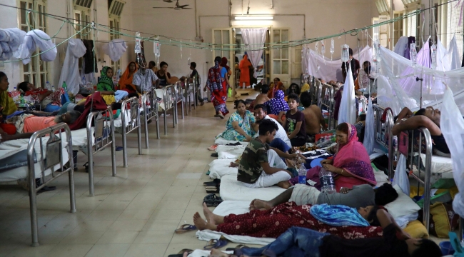 Bangladeş'te dang humması salgını: 303 can kaybı