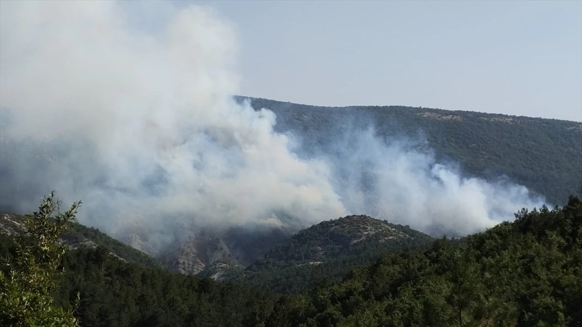 Bilecik'in Yenipazar ilçesinde orman yangını