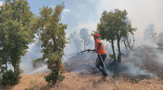 Bingöl'de orman yangını 5 gündür devam ediyor