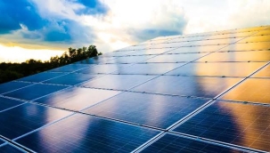 BK'ta bitki gibi çalışan güneş paneli üretildi