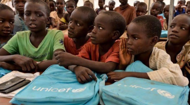 BM: "Nijerya'da 1,6 milyon çocuk eğitime muhtaç"