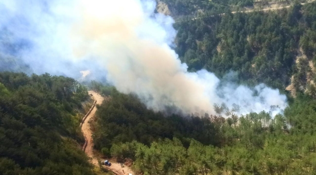Bolu'nun Mudurnu ilçesinde orman yangını