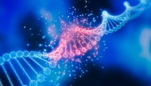 Cilt rengiyle ilgili 135 yeni gen tespit edildi