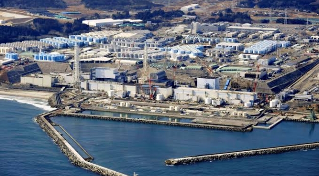 Çin, Japon deniz ürünleri ithalatını askıya aldı