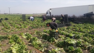 Depremzede çiftçilere 8,8 milyar ₺ destek ödemesi