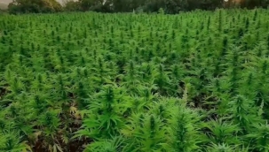 Diyarbakır'da uyuşturucu operasyonu