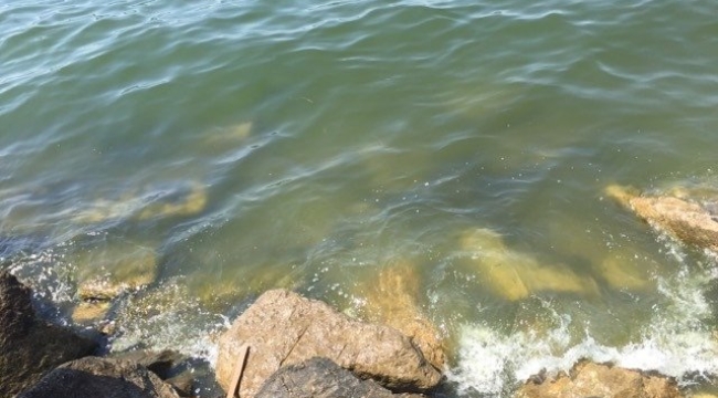 Edremit Körfezi'nin kirlilik sorunu çözüm bekliyor