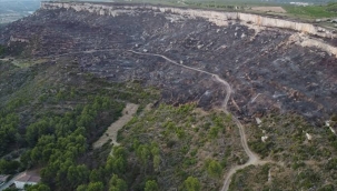 Fransa'daki orman yangını 7 günde söndürüldü