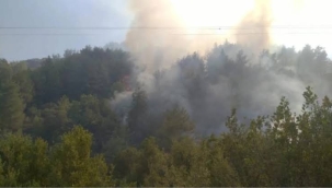 Hatay Defne'de orman yangını 