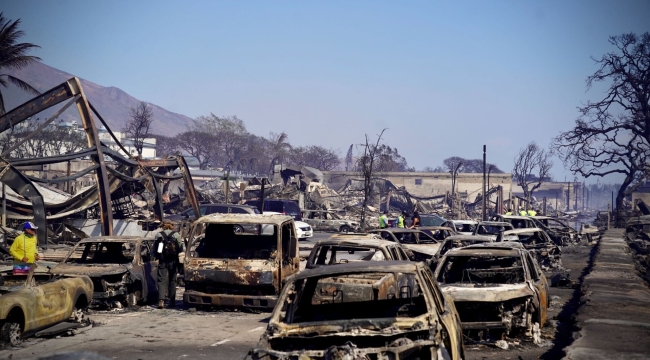 Hawaii'de orman yangını: Can kaybı 80'e yükseldi