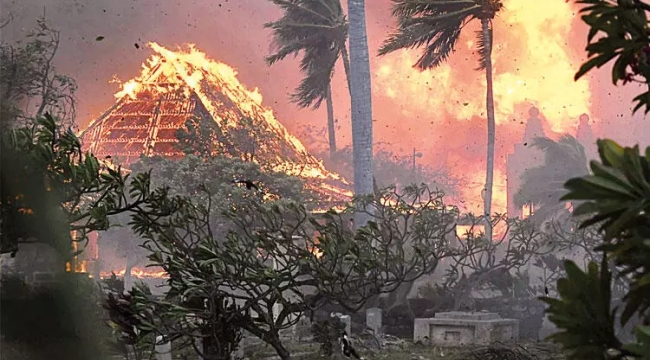 Hawaii'deki orman yangınlarında en az 53 kişi öldü