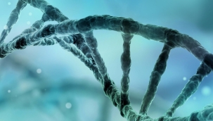 İddia: Elektrikle genler kontrol edilebiliyor