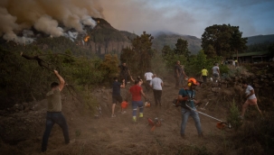 Kanarya Adaları'ndaki orman yangınları büyüyor