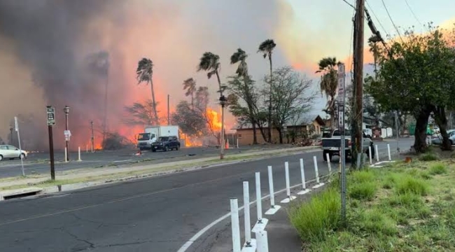 Maui Adası'nda orman yangını: 36 can kaybı