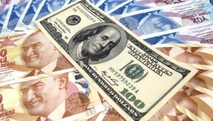 TL'nin reel değeri 19 ayın en düşük seviyesinde