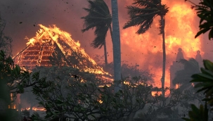 Rees: "Dünya nüfusu 100 milyona düşebilir"