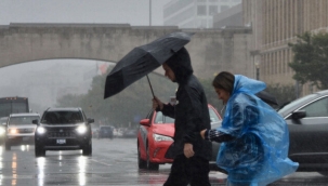ABD'de Ophelia Fırtınası: 70 bin kişi etkilendi