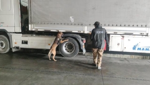 Ağrı'da uyuşturucu taşıyan kaçak İranlı yakalandı 