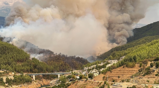 Alanya'nın Akköprü mevkisinde orman yangını
