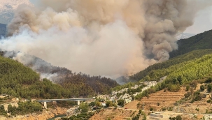 Alanya'nın Akköprü mevkisinde orman yangını