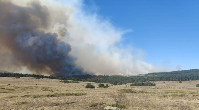 Bolu, Ankara, İzmir ve Adana'da orman yangını 