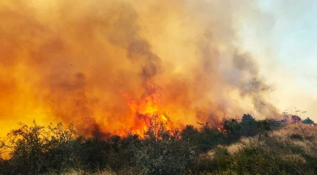 Çanakkale Gelibolu'da zirai alanda yangın çıktı
